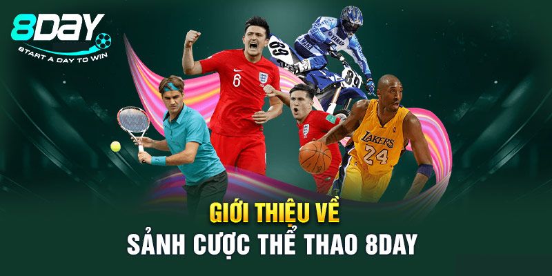 Khái quát về sảnh thể thao 8DAY