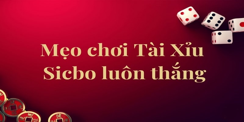 6 Mẹo chơi tài xỉu luôn thắng từ chuyên gia